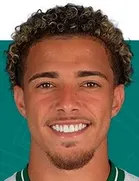 Figueiredo